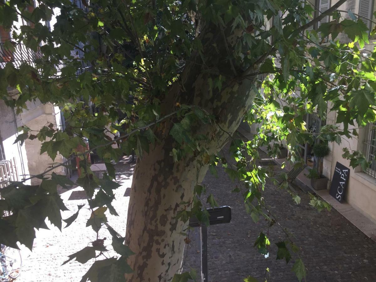 אביניון Studio Plaisance מראה חיצוני תמונה